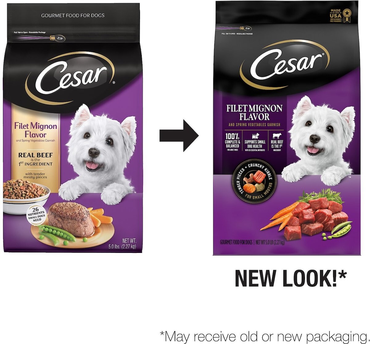 Cesar Filet Mignon Flavor and Spring Vegetables Garnish Small Breed Dry Dog Food