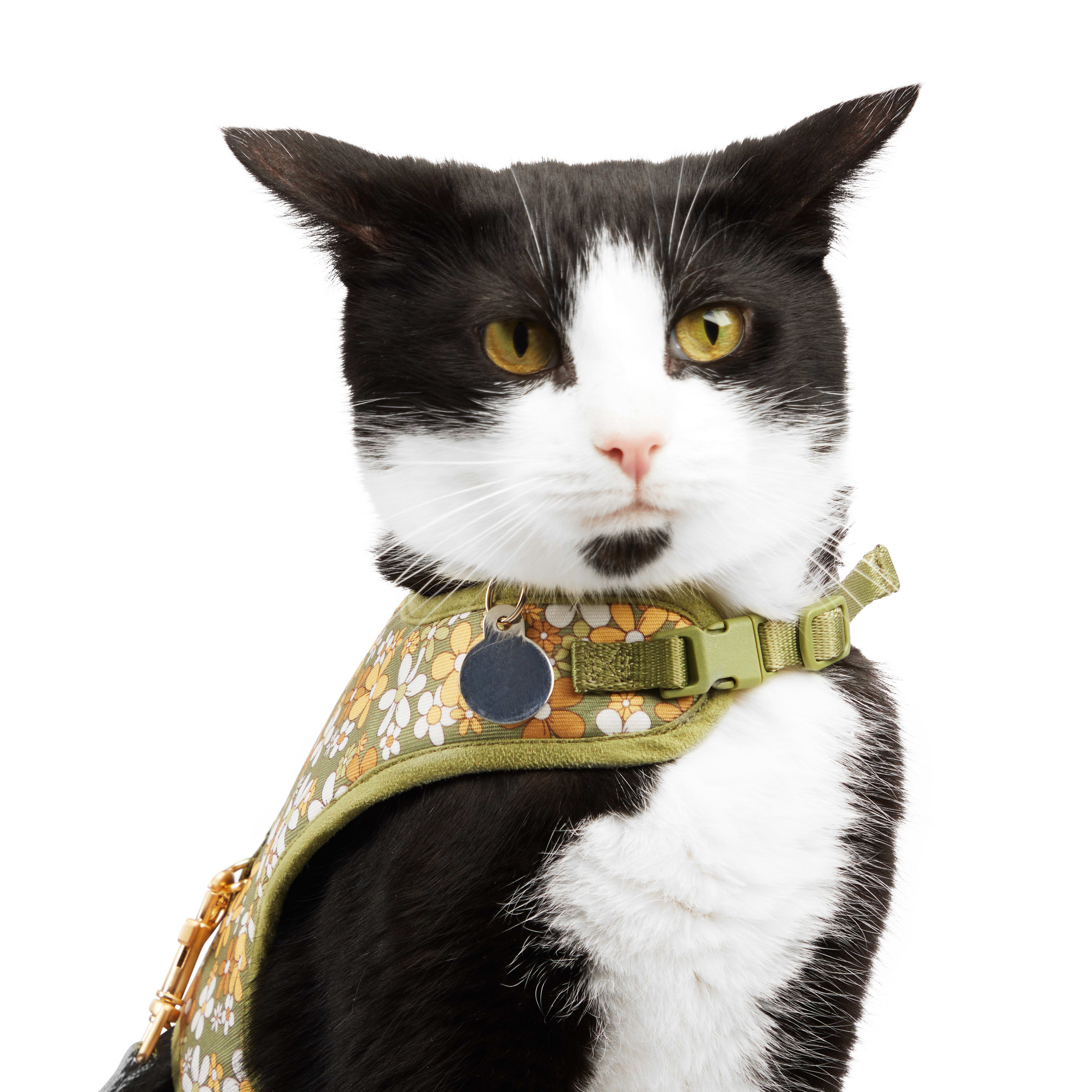 YOULY Retro Floral Cat Harness Set， Small/Medium