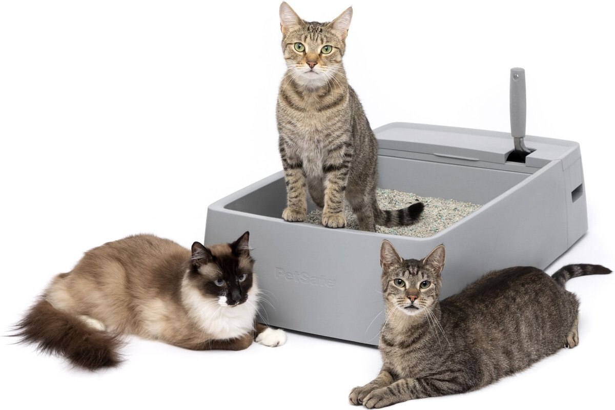 PetSafe Multi-Cat Litter Box