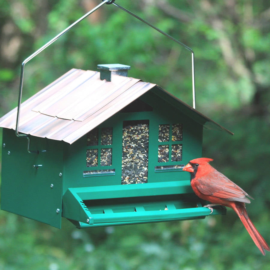 Perky Pet Squirrel Be Gone II Home Style Wild Bird Feeder