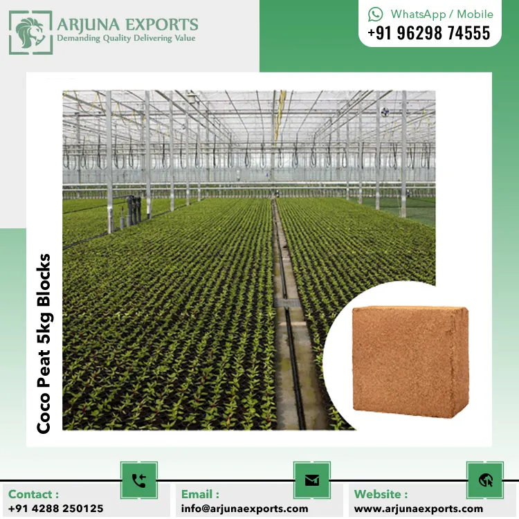 Best Manufacturer Superior Quality Hot Selling Natural Coconut Coir Pith 5kg Brick For Agriculture And Planting