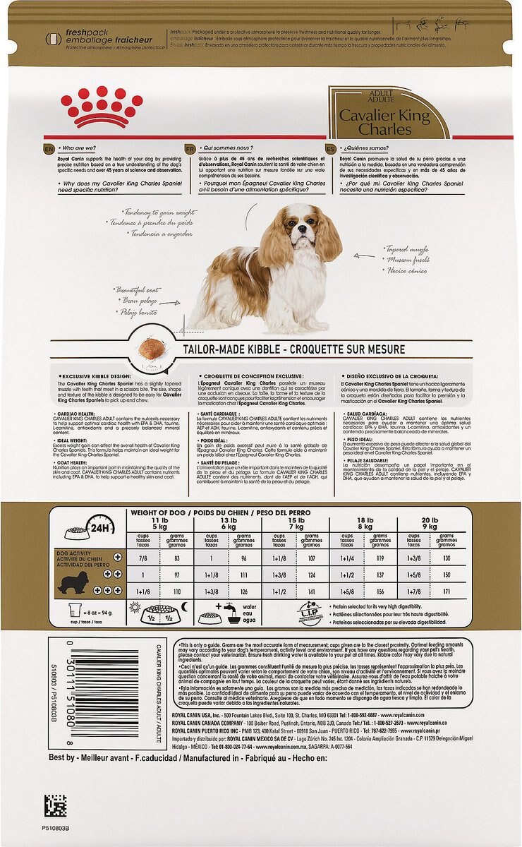 Royal Canin Breed Health Nutrition Cavalier King Charles Adult Dry Dog Food