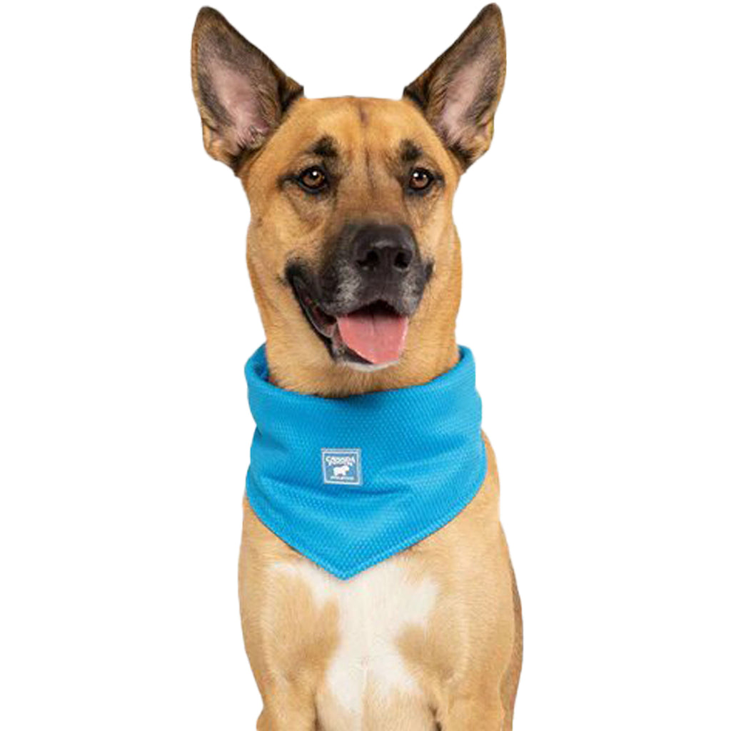 Canada Pooch Cooling Blue Dog Bandana