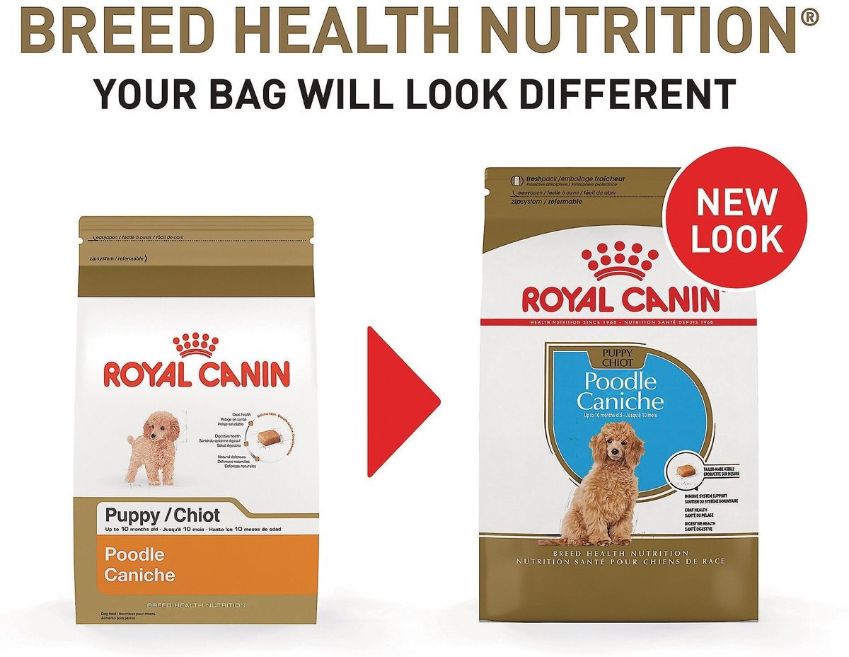 Royal Canin Breed Health Nutrition Poodle Puppy Dry Dog Food