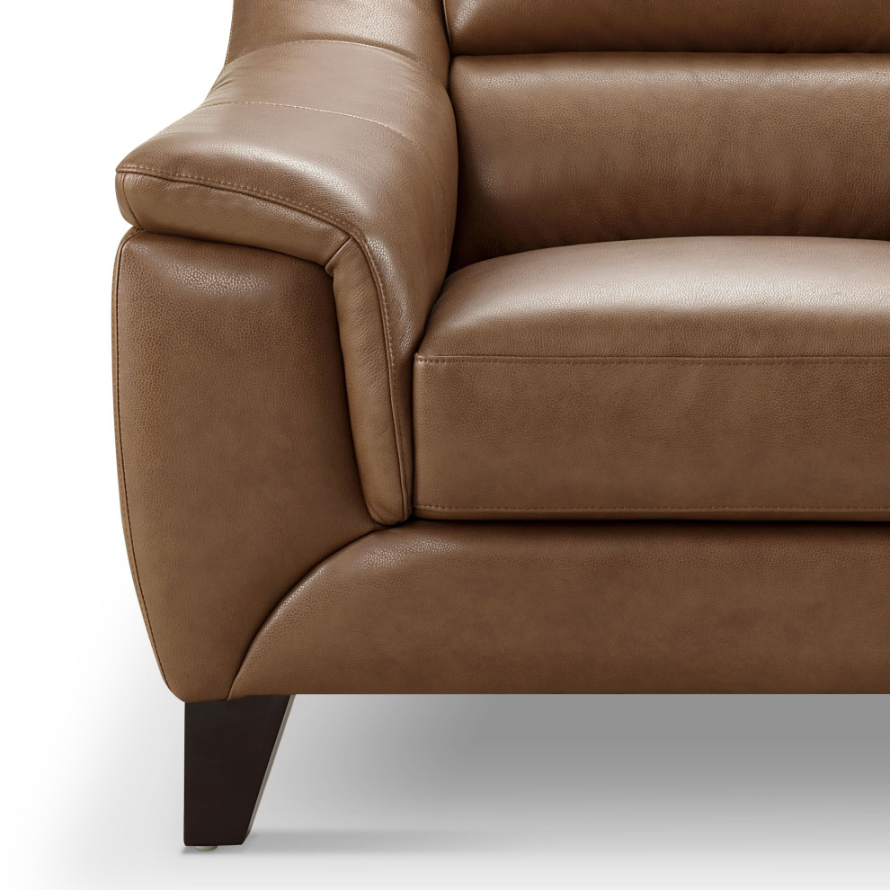 Arlen Leather Chair  Camel   Modern   Armchairs And Accent Chairs   by Abbyson Living  Houzz