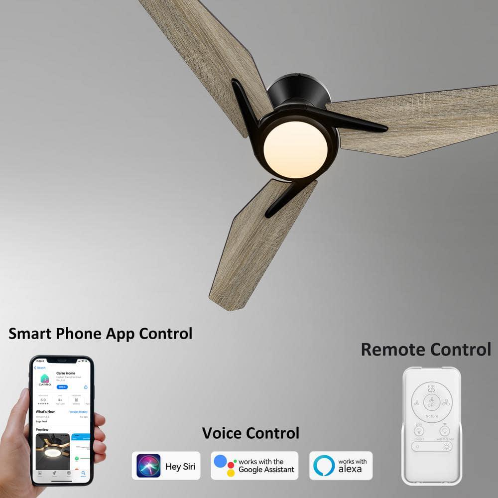 CARRO Tilbury 44 in Integrated LED IndoorOutdoor Black Smart Ceiling Fan with Light and Remote Works with AlexaGoogle Home