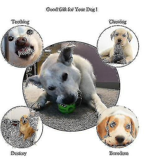 Dog Educational Chew Toys For Cleaning Small And Large Puppy Teeth