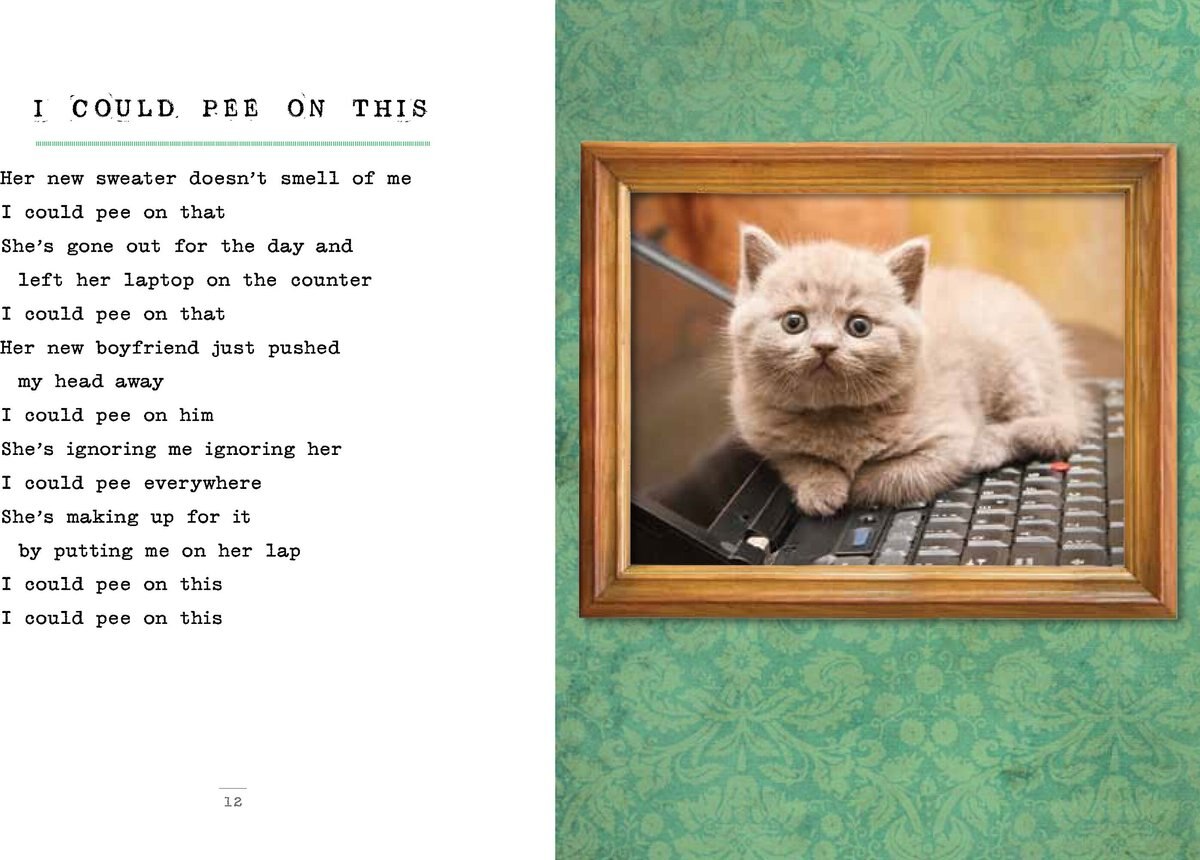 I Could Pee on This: and Other Poems by Cats