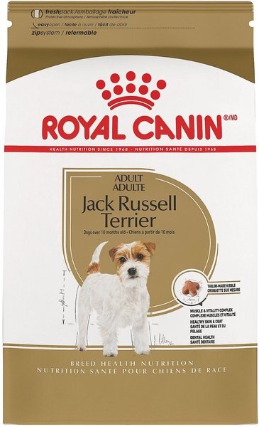 Royal Canin Breed Health Nutrition Jack Russell Terrier Adult Dry Dog Food