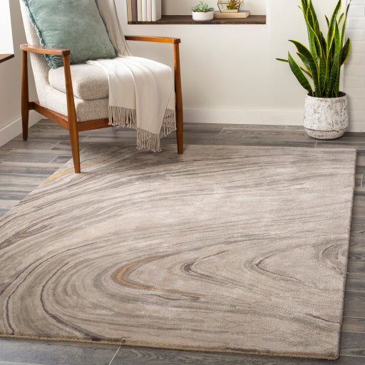 Kavita Contemporary Light Gray Rug