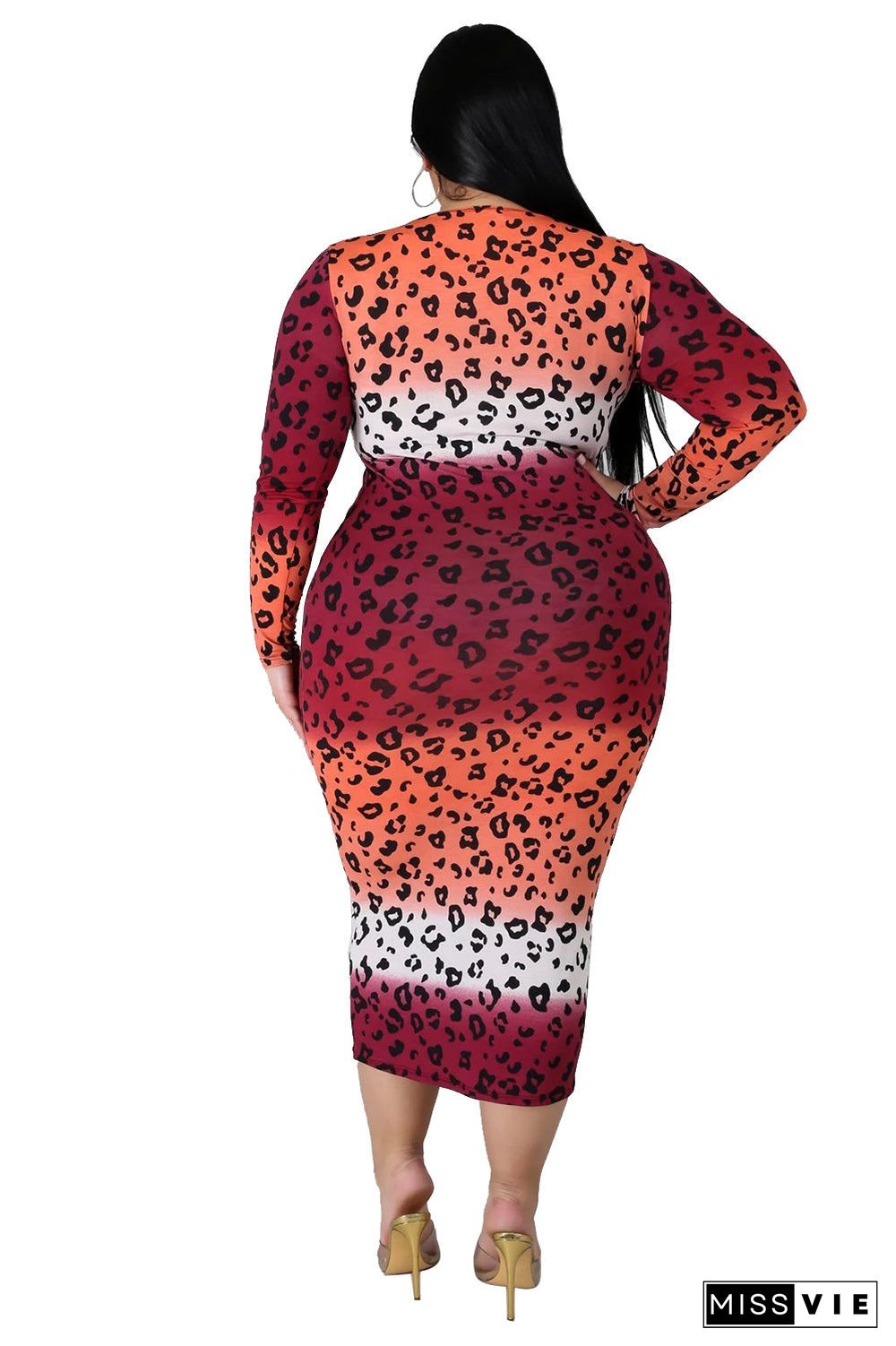 Plus Size Long Sleeve Print Dress