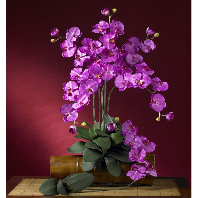 Silk 31.5inch Phalaenopsis Orchids (Set of 12)