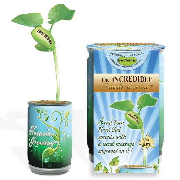 Collections Etc Magic Bean Best Wishes Leaf Plant In A Can 2.5 X 2.5 X 3.75