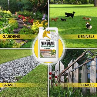 Harris 1 Gal. 20% Vinegar Weed Killer (3-Pack) and 1 Gal. Tank Sprayer Value Pack 3VWEED128TANK