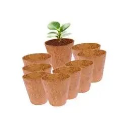 Quality Compressed CocoCoir Pots The Natural Alternative for HealthyPlant Growth Growing Green Coconut Husk Pots for Your Garden