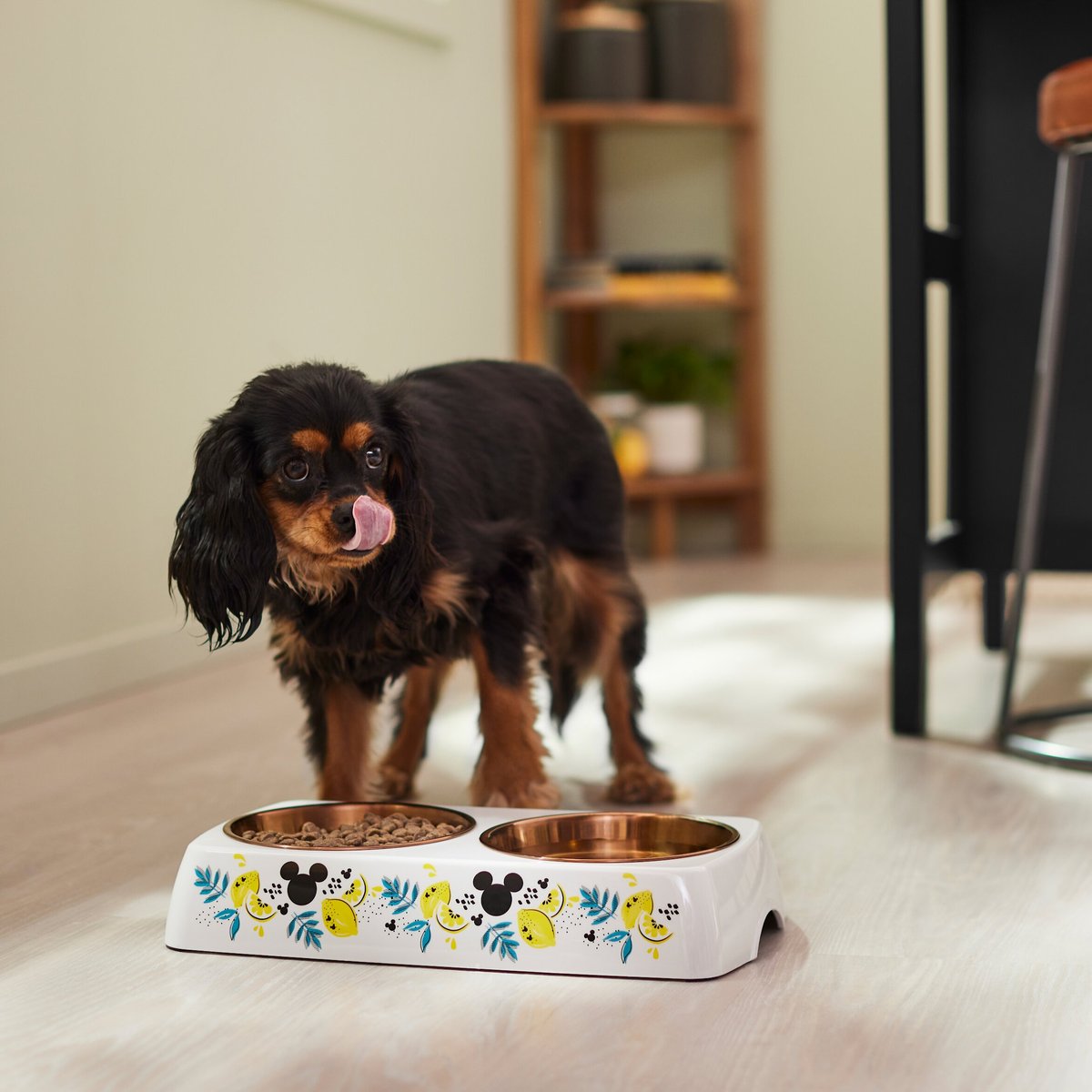 Disney Mickey Mouse Lemon Melamine Stainless Steel Double Dog and Cat Bowl