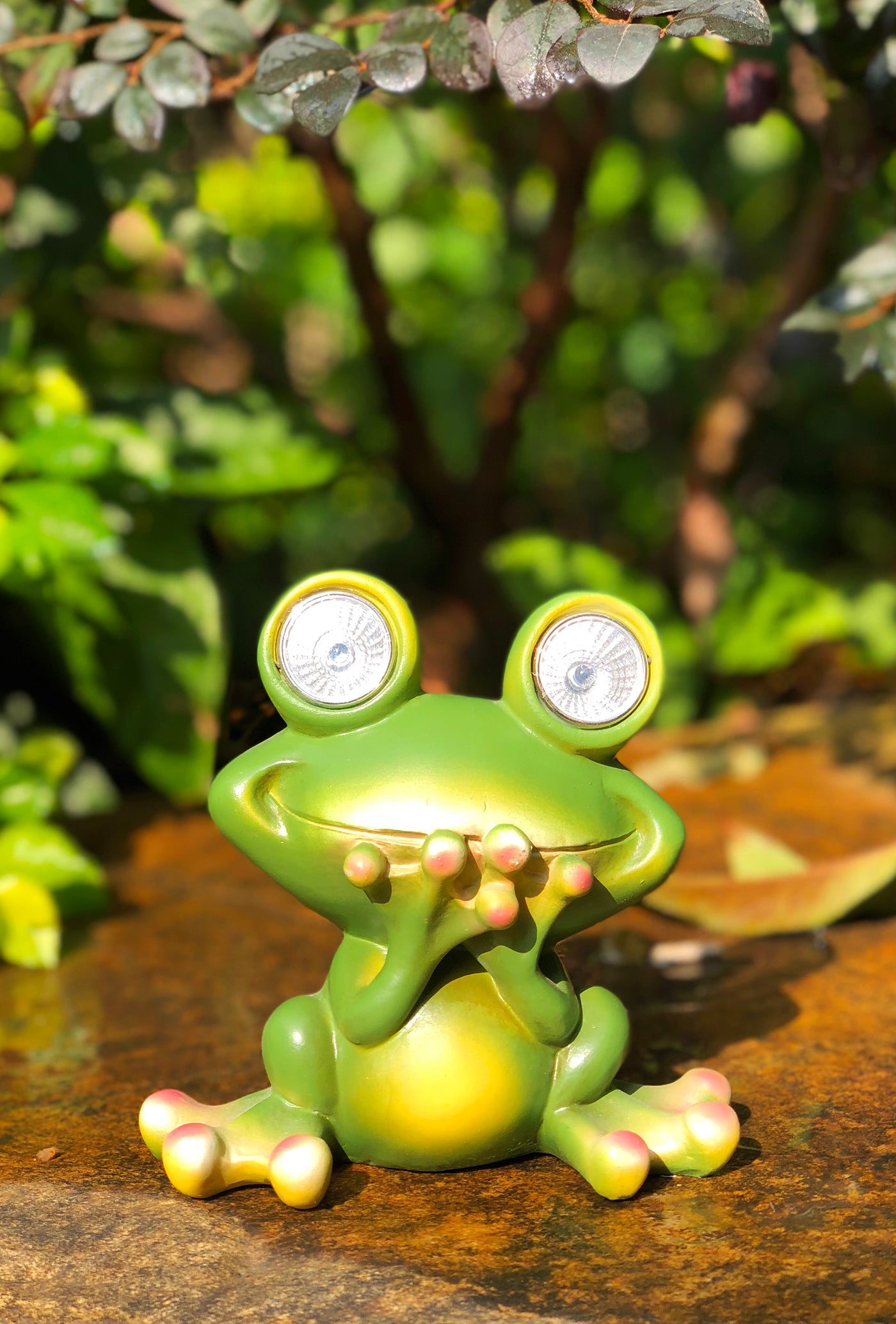 Solar Powered Frog Outdoor LED Garden Light Decor (SPEAK - NO)