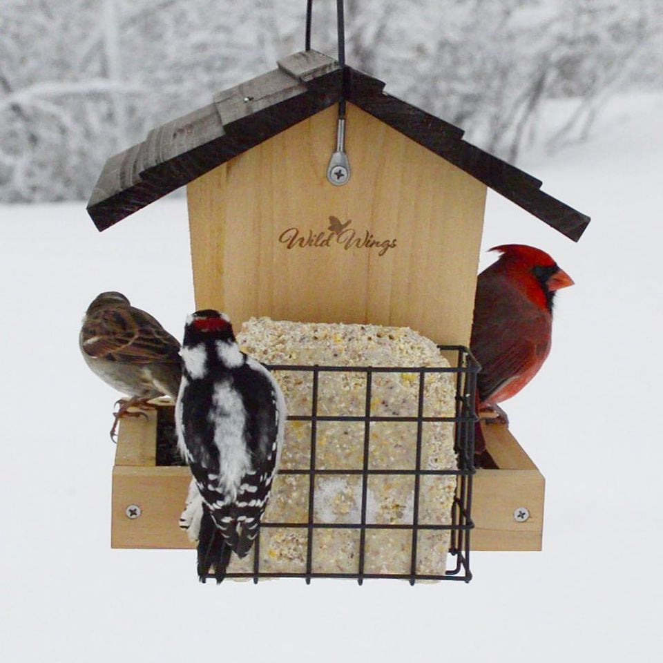 Wild Wings Cedar Hopper Bird Feeder with Suet Cages， 3 Quart