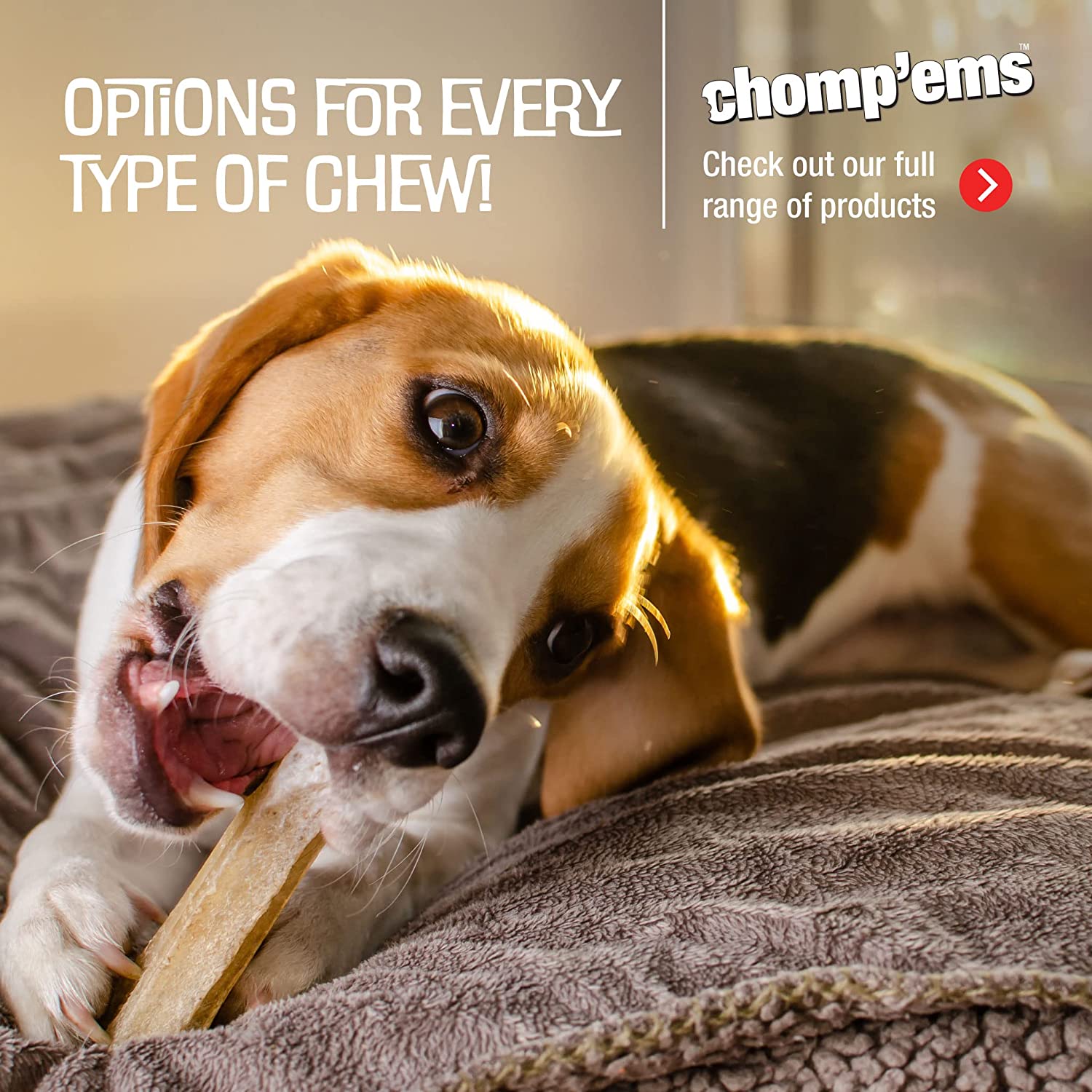 Chomp 'ems Chicken Hide Free Dog Chews - Rawhide Free Dog Treats - No Hide Alternative Chew Treat for All Life Stages， Bone， 2