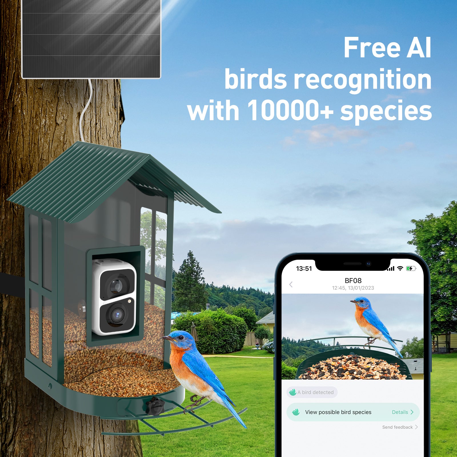 Soliom Smart Bird Feeder BF08 with Solar AI Identify Bird Species Camera for Wild Bird， Green