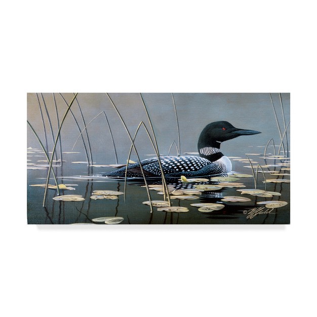 Trademark Fine Art wilhelm Goebel x27 loon In Reeds x27 Canvas Art