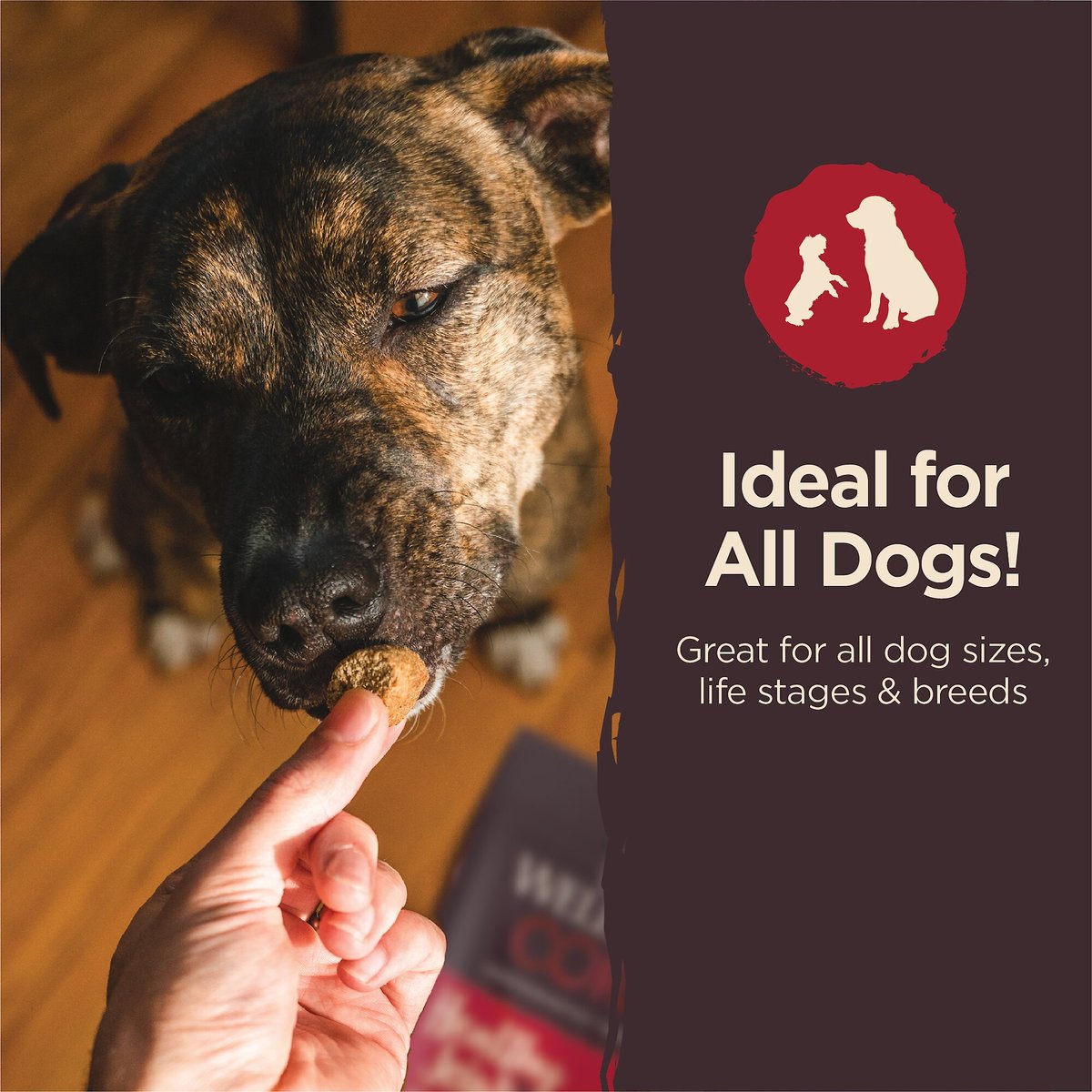 Wellness CORE Healthy Joints Beef Grain-Free Crunchy Dog Treats