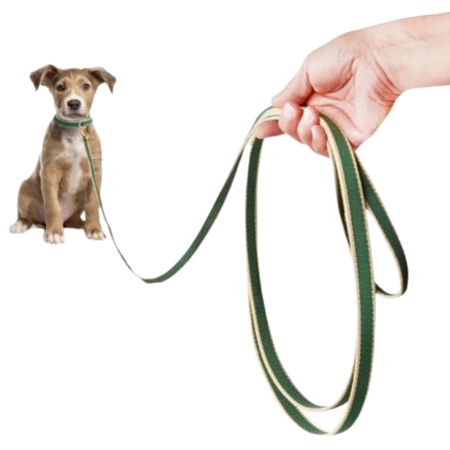 Training Leash | Forest & Tan