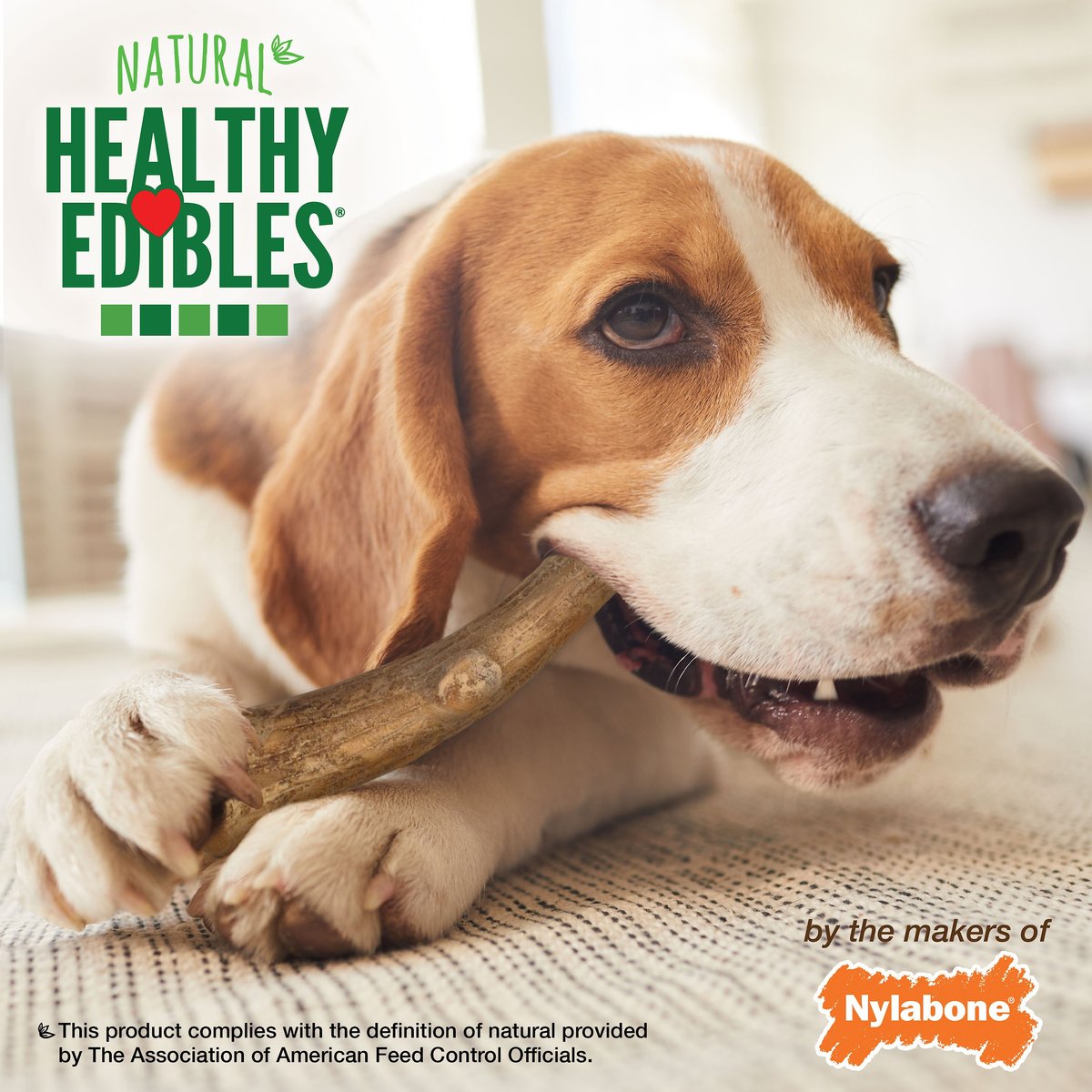 Nylabone Healthy Edibles WILD Antler Natural Long Lasting Venison Flavor Chewy Dog Treats， Medium