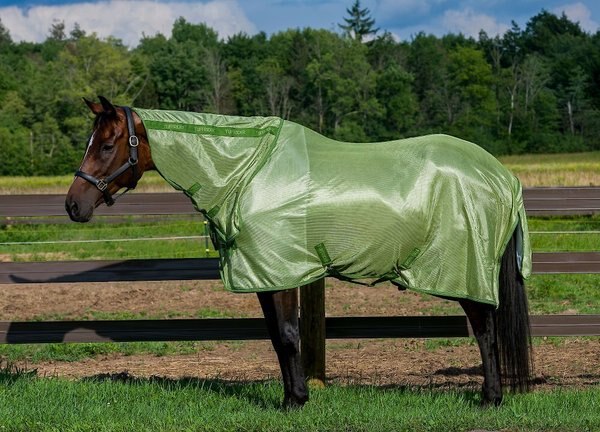 TuffRider Sport Mesh Combo Neck Horse Fly Sheet