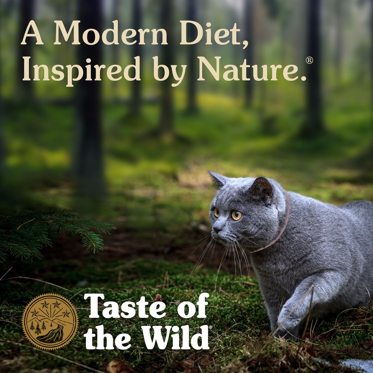 Taste of the Wild Canyon River Feline Recipe with Trout and Salmon in Gravy Canned Cat Food