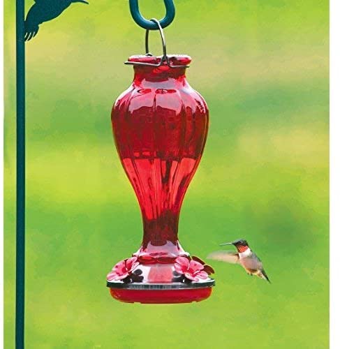 More Birds Hummingbird Feeder， Glass Hummingbird Feeders， Red， 4 Feeding Stations， 20-Ounce Nectar Capacity， Blossom