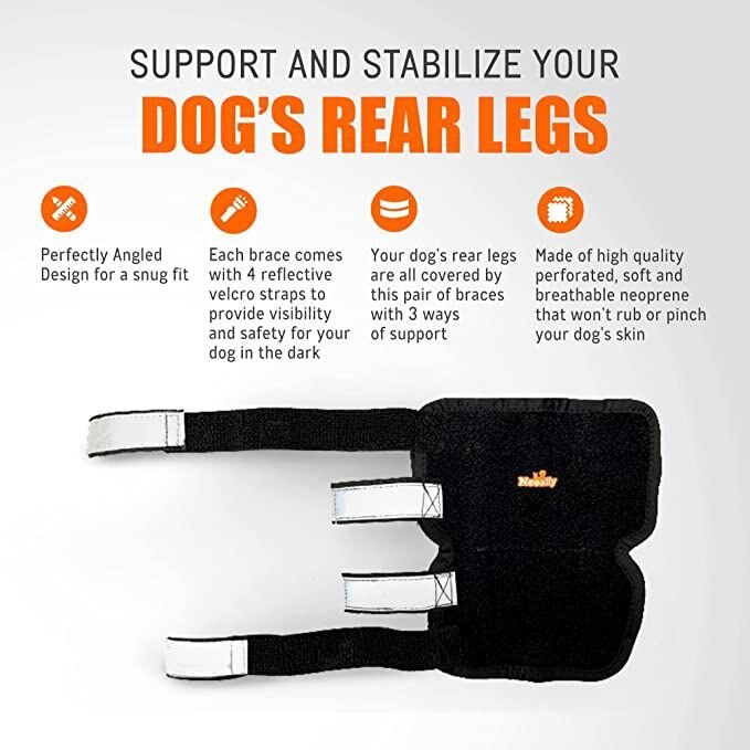 NeoAlly 3-in-1 Long Rear Leg Support Dog Splint Braces