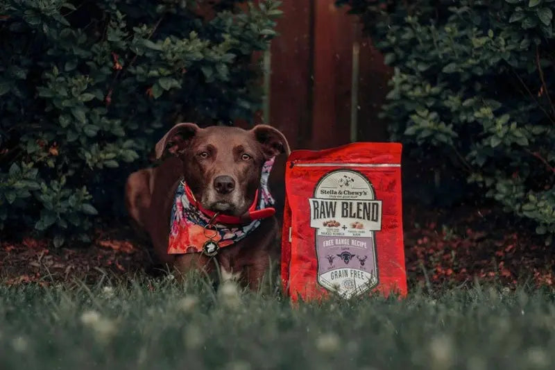 Stella and Chewy Raw Blend Kibble Free Range Recipe Dry Dog Food;