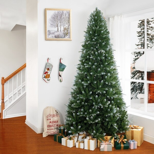 Alberta White Tip Christmas Tree with Lights，Prelit Christmas Tree，Pine Fir with Led Lights，White Painted Tips