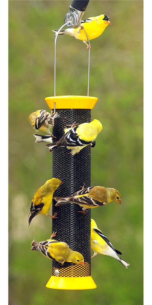 Droll Yankees Metal Finch Sock Bird Feeder (Yellow)