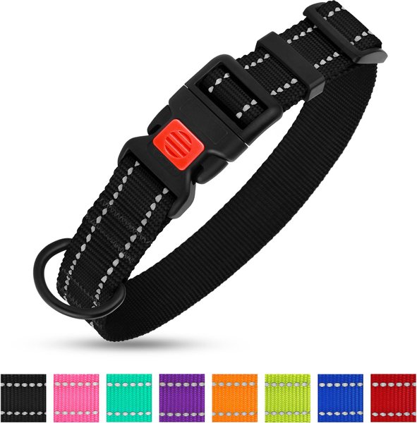 CollarDirect Adjustable Reflective Nylon Dog Collar