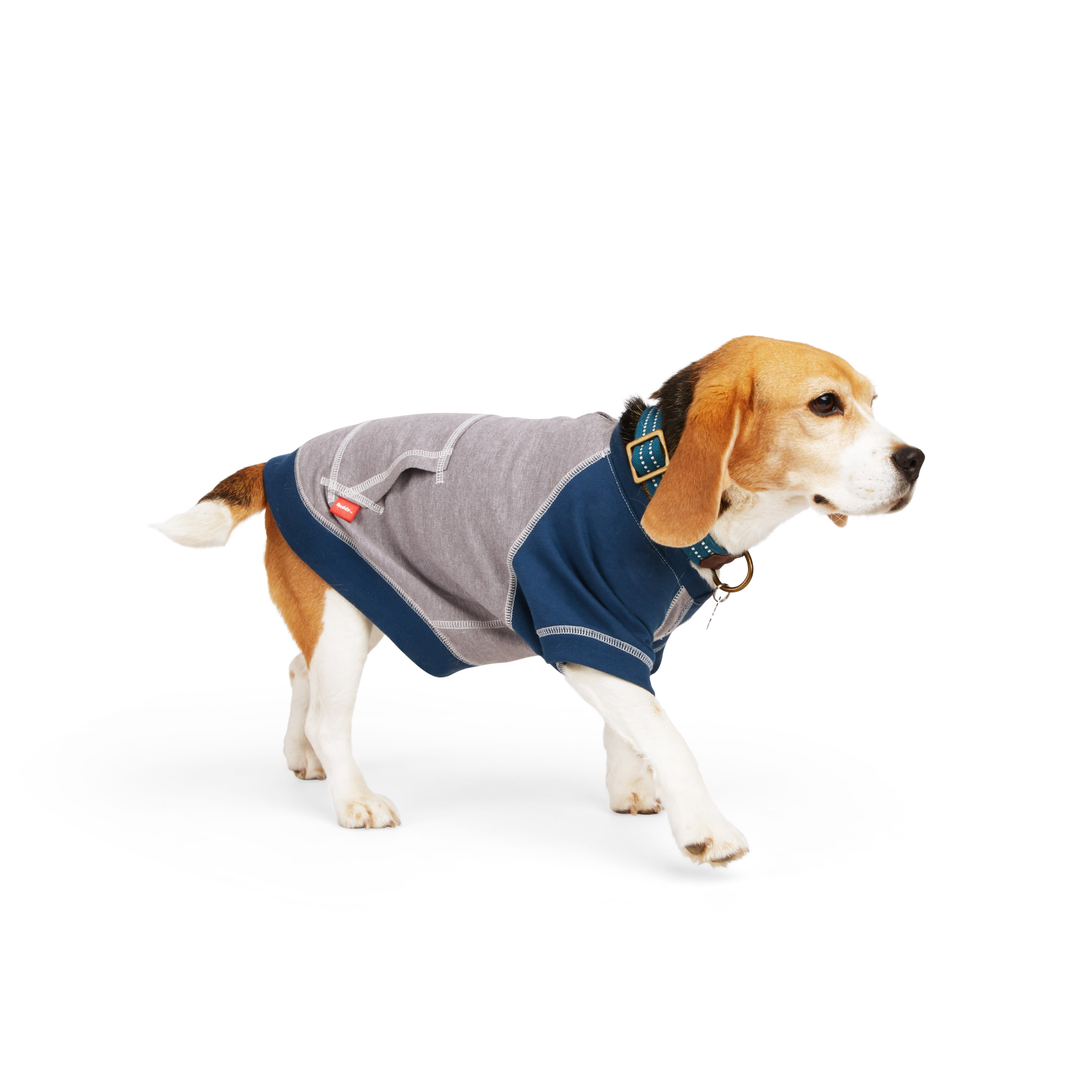 REDDY Grey French Terry Dog Crew， Large