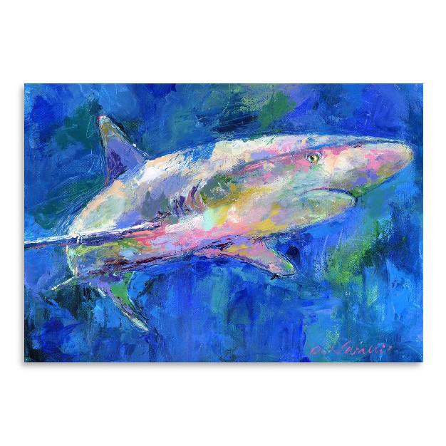 Americanflat Modern Animal Shark By Richard Wallich Poster