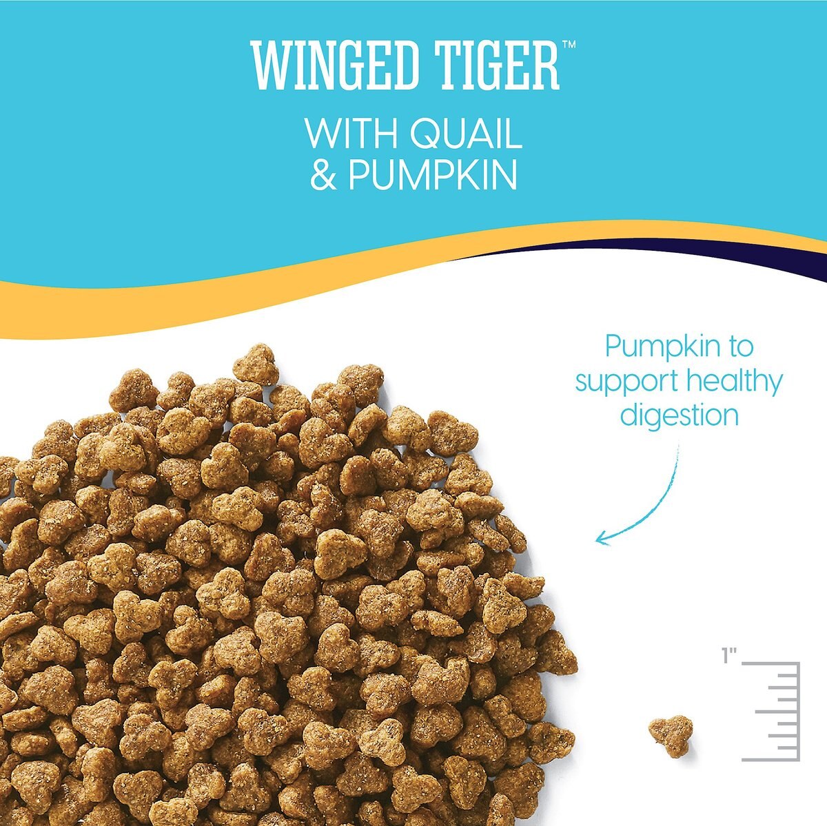 Solid Gold Winged Tiger with Quail and Pumpkin Grain-Free Sensitive Stomach Adult Dry Cat Food