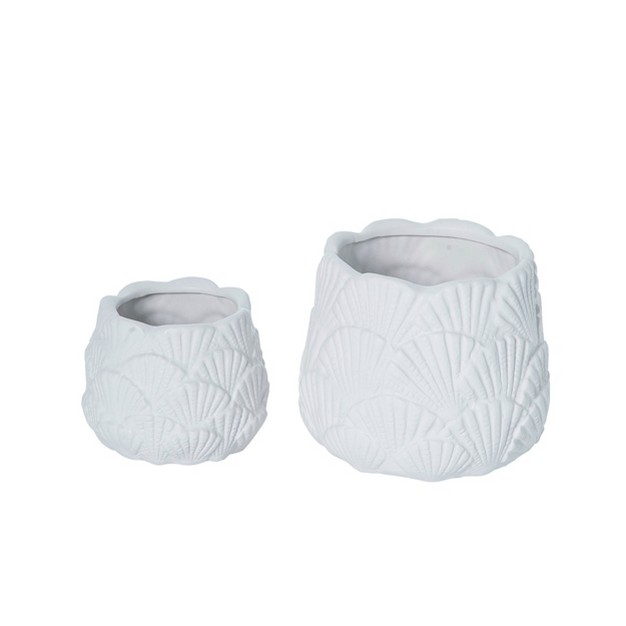 Transpac Dolomite 5 63 In White Spring Shell Containers Set Of 2