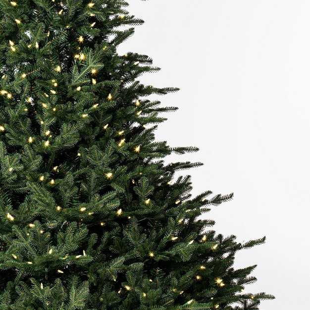 Bellevue Fraser Fir Artificial Christmas Tree With Warm White Mini Lights.