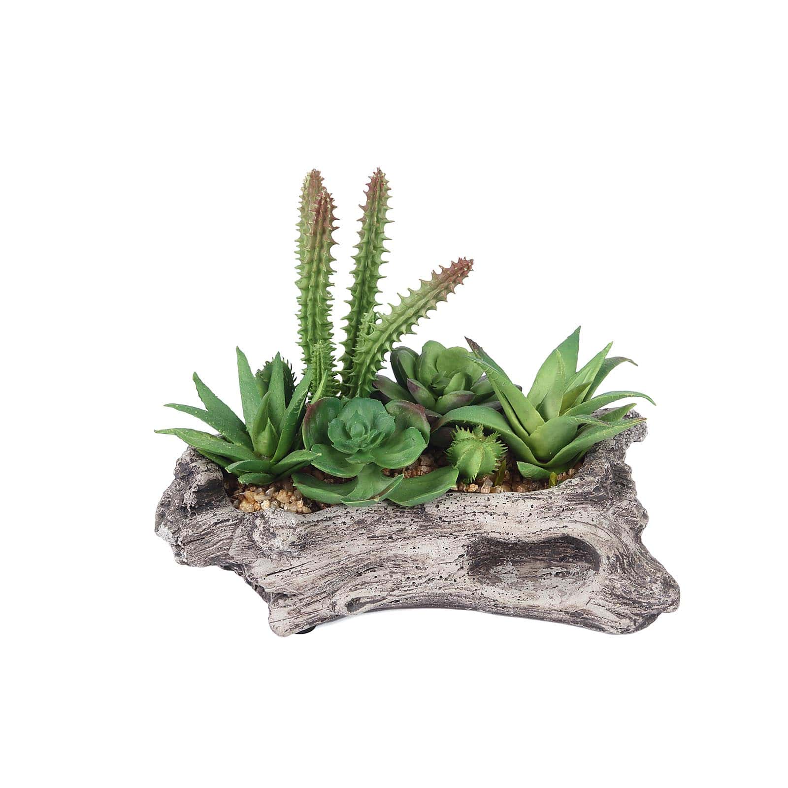 Natural Artificial Log Planter and 15 Assorted Succulent Plants 7