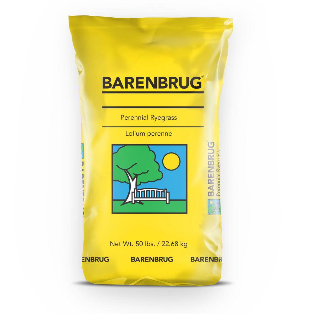 Barenbrug 50 lbs. Barlennium Perennial Ryegrass Seed 12196