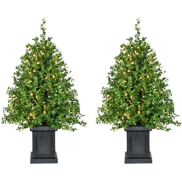 Fraser Hill Farm 2Ft. Boxwood Porch Tree in Black Pot with Warm White Lights，Set of 2