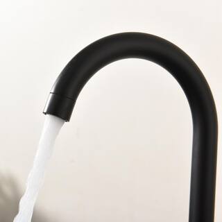 Fapully Single-Handle Gooseneck Kitchen Faucet in Matte Black QJ202204200003