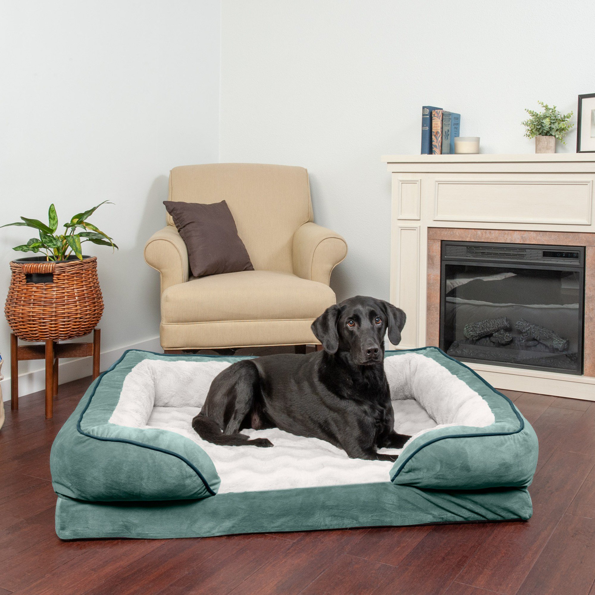 FurHaven Velvet Waves Perfect Comfort Orthopedic Sofa Cat and Dog Bed， Celadon Green， Jumbo