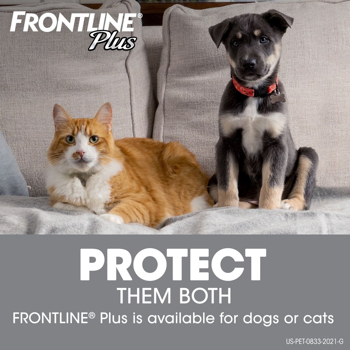 Frontline Plus Flea and Tick Spot Treatment for Cats， over 1.5 lbs