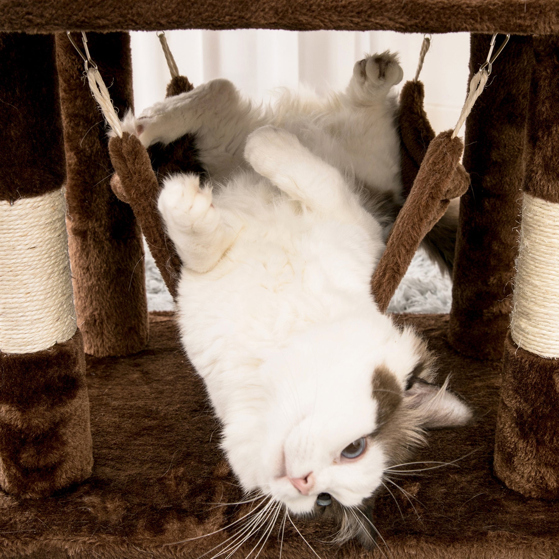 Quuzee 51.6-in Cat Tree Tower with Double Condo,Scratching Post Hammock, Brown