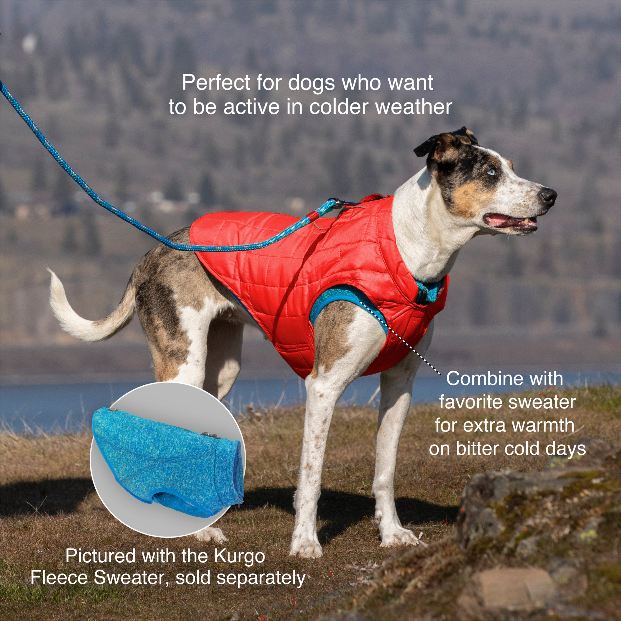 Kurgo Loft Dog Jacket， Reversible Winter Coat for Dogs， Reflective， Wear with Harness， Water Resistant，  For Small Medium Large Pets (Chili Red， S)