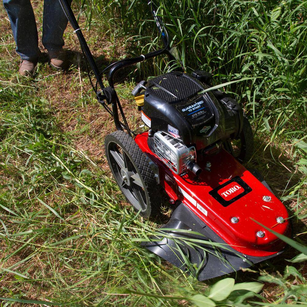 Toro 58620 22 in. 163cc Walk Behind String Mower， Cutting Swath with 4-Cycle Briggs and Stratton Engine